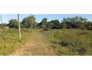 VENDO 15 HECTAREAS EN LUQUE S/RUTA LUQUE SAN BER C/21 MTRS FRENTE S/RUTA-20 MIN CENTRO LU
