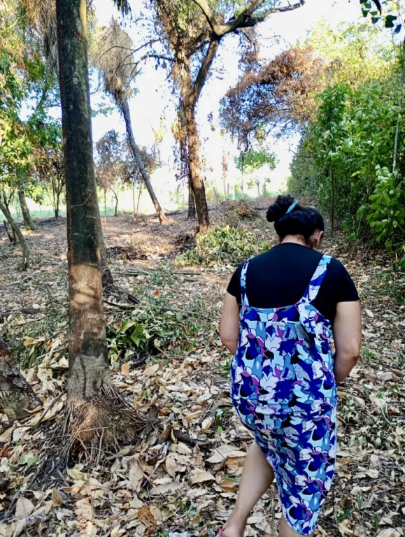 Amplio TERRENO EN LA CIUDAD DE ALTOS — foto 3