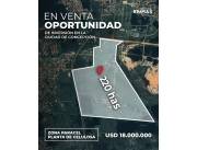 IMPORTANTE TERRENO 220 HECTÁREAS EN PLENA CIUDAD DE CONCEPCIÓN