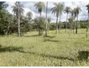 6,5 HA. CAMPO EN CAACUPE-CIA.ITA-YBUMI
