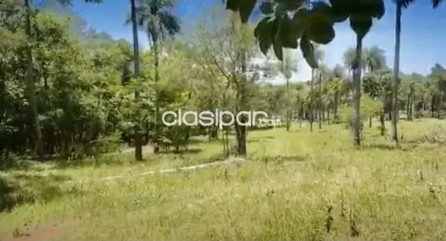 6,5 HA. CAMPO EN CAACUPE-CIA.ITA-YBUMI — foto 3