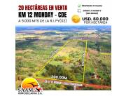 20 HECTÁREAS EN VENTA - CIUDAD DEL ESTE - KM 12 MONDAY