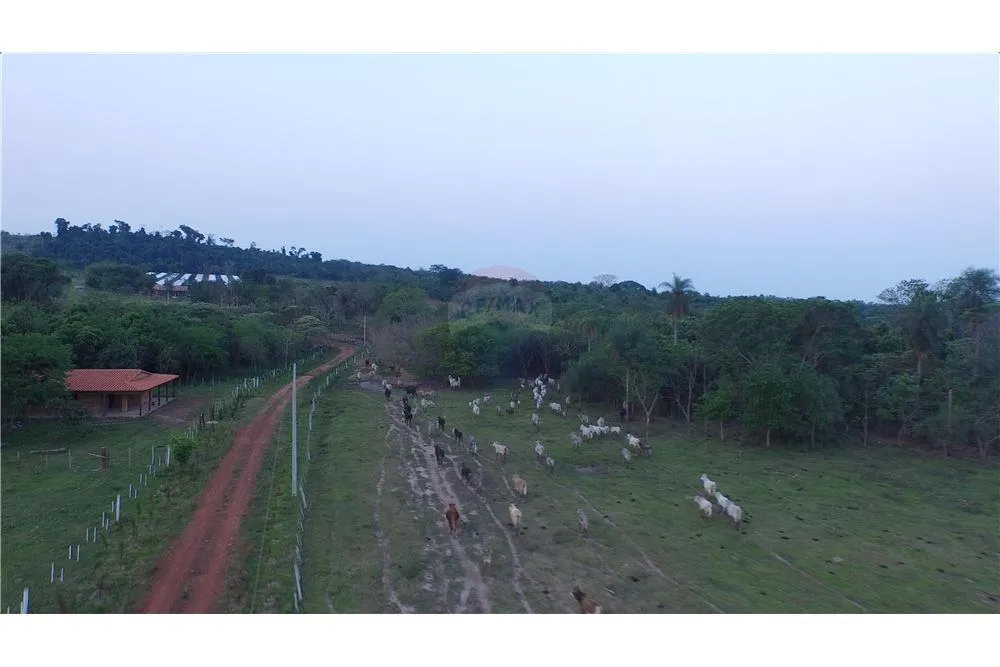 VENDO CAMPO EN ARROYOS Y ESTEROS SOBRE RIO PIRIBEBUY — foto 3