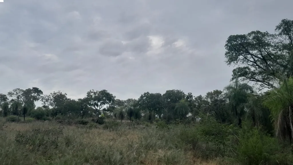 Terreno 6has5805m2, con excelente vista, especial para inversión — foto 3