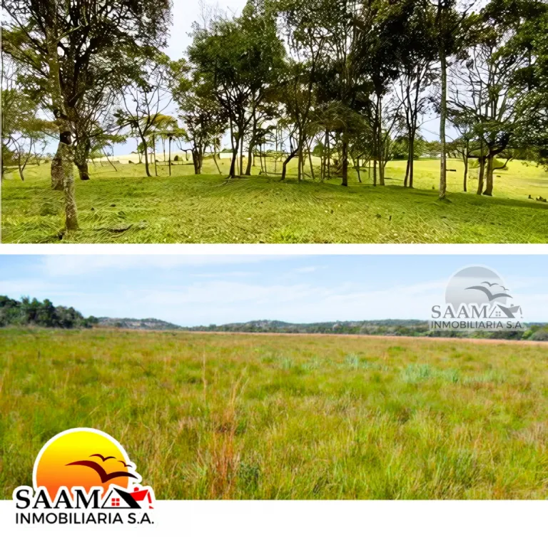 EN VENTA-15 HECTÁREAS EN CAAGUAZU-CARAYAO — Foto 2