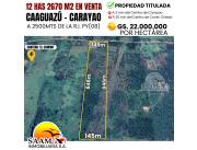 EN VENTA - 12 HECTAREAS 2.670M2 EN CAAGUAZÚ