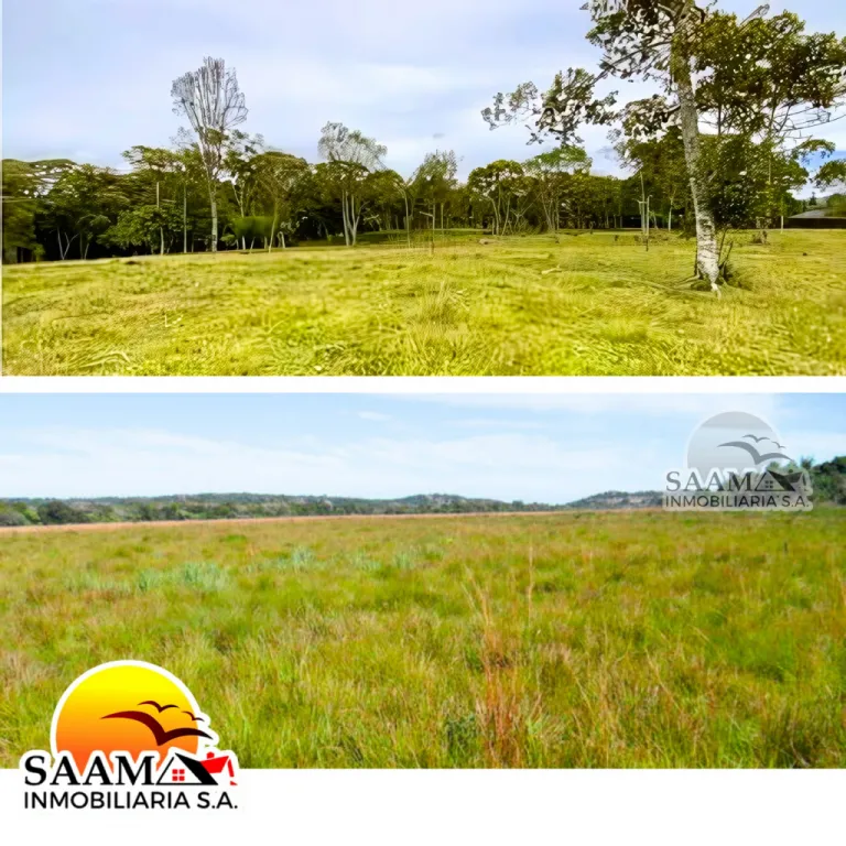 EN VENTA - 12 HECTAREAS 2.670M2 EN CAAGUAZÚ — Foto 2