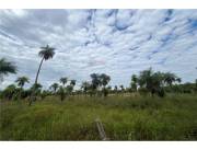 Campo Agrícola/Ganadero en Piribebuy - 52 Ha.