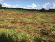 Campo Agrícola Mecanizado en Yguazú - 27 Ha.