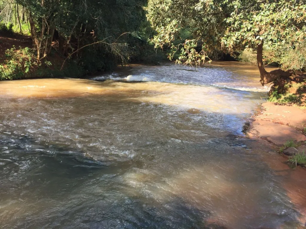 Campo Agrícola Mecanizado en Yguazú - 27 Ha. — foto 2