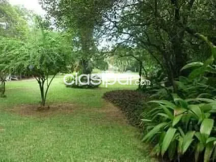 Vendo amplio terreno 3.920 m2 en Limpio en el centro mismo de calle a calle en esquina — foto 2