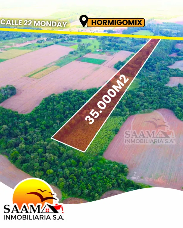 3.5 HECTÁREAS EN VENTA- MINGA GUAZÚ – KM 22 MONDAY 🌟 — foto 2