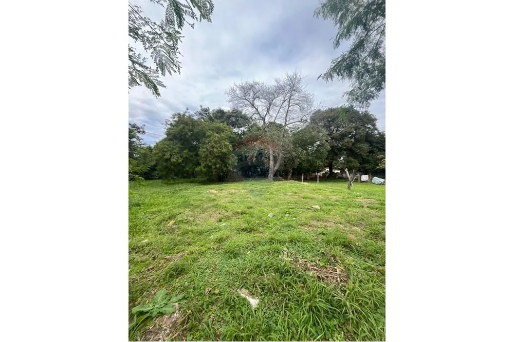 VENDO TERRENO EN LOMA PYTA ZONA AUTOPISTA ÑU GUASU — foto 2