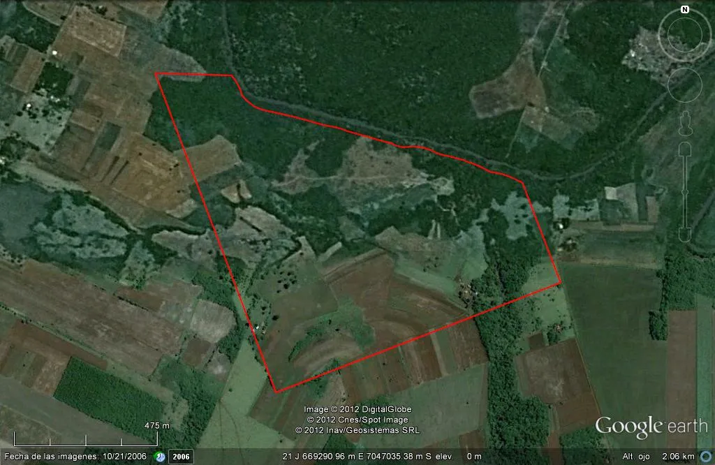 Vendo ﻿Campo de 82 Hectáreas en Edelira, Itapúa - CLCS7107672 — foto 2