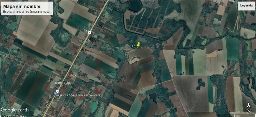 Vendo ﻿Campo de 82 Hectáreas en Edelira, Itapúa - CLCS7107672 — foto 3
