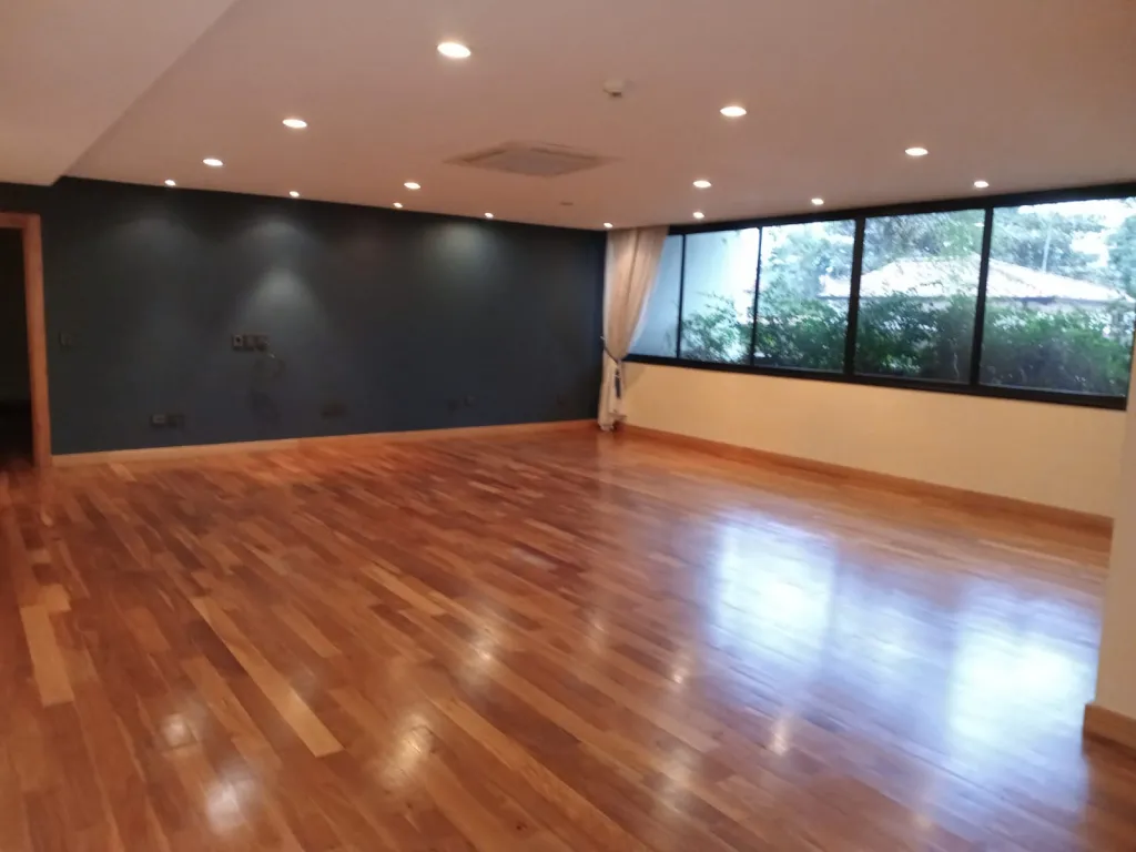 VENDO DEPARTAMENTO DE LUJO EN EDIFICIO CALYPSO 373.35 MTS2 PROPIOS — foto 2