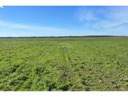 CAMPO AGRICOLA EN VENTA SAN PEDRO DEL PARANA
