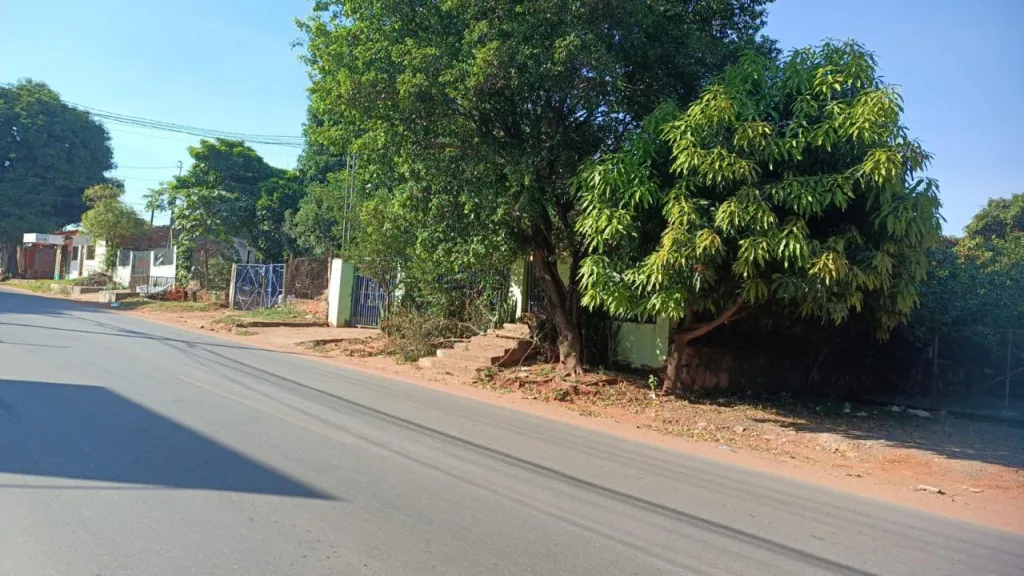 VENDO LOCAL COMERCIAL EN ÑEMBÝ, SOBRE ASFALTO AV. CAAGUAZÚ, TERRENO DE 12 X 50 M. — photo 2