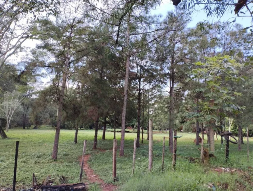 TERRENO IDEAL PARA DESARROLLO INMOBILIARIO EN MARAMBURÉ, LUQUE — foto 2