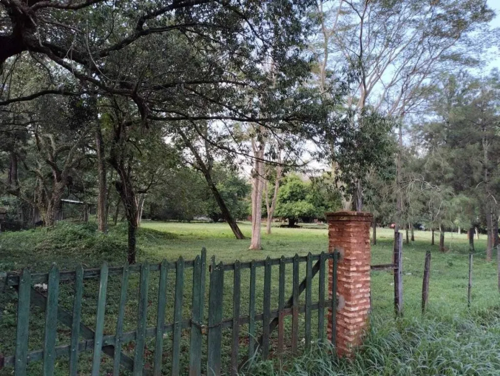 TERRENO IDEAL PARA DESARROLLO INMOBILIARIO EN MARAMBURÉ, LUQUE — foto 3