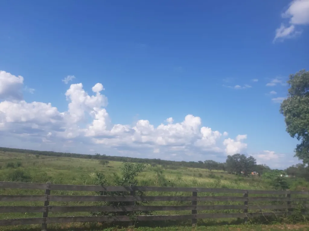 PROPIEDADES EN VENTA | VENDO UN TERRENO 👉 CONCEPCION. — foto 2