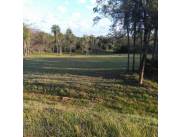 Vendo terreno en Carapeguá