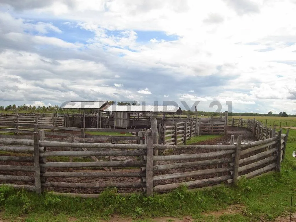 Venta de EstanciasGanaderas en Benjamín Aceval, Presidente Hayes — foto 2