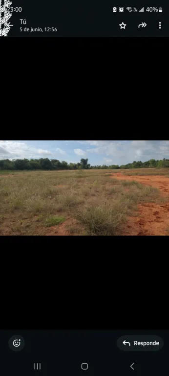 Titular vende casi 6 Hectáreas en Benjamin Aceval — foto 2