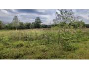 5 HA. CAMPO EN BENJAMIN ACEVAL - CHACO