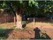 Oferta!! Terreno en Ciudad del Este Barrio San Alfredo