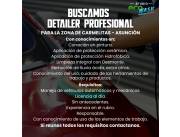 Detailer profesional