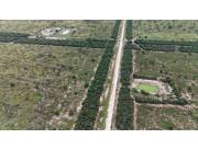 Campo Agrícola/Ganadero en Teniente Martinez - 3764 Ha.