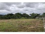 VENDO 70 HECTAREAS EN GUARAMBARE