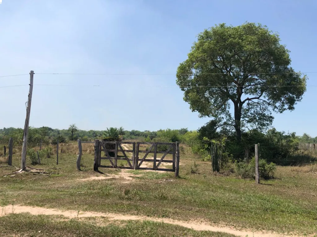 Terreno de 20 hectáreas titulada — foto 3