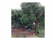 Terreno - Venta - Paraguay Central Aregua