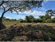 Vendo 7,2 hectáreas en Arroyos y Esteros 🌳🤩 - Recibo Vehículo