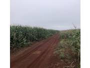 Campo Agrícola Mecanizado en Katuete - 1.000 Ha.