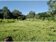 1,5 HA. CAMPO EN EMBOSCADA - ZONA GUJAIBITY