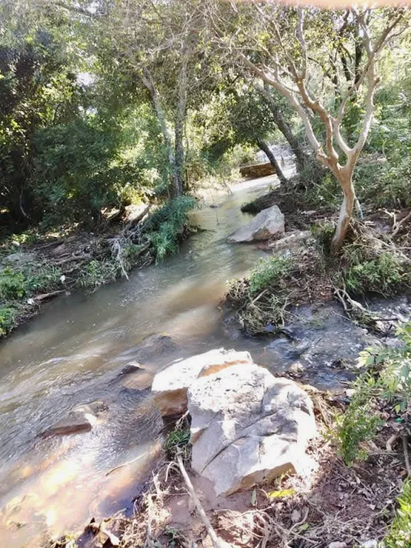 1,5 HA. CAMPO EN EMBOSCADA - ZONA GUJAIBITY — foto 2