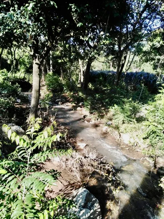 1,5 HA. CAMPO EN EMBOSCADA - ZONA GUJAIBITY — foto 3