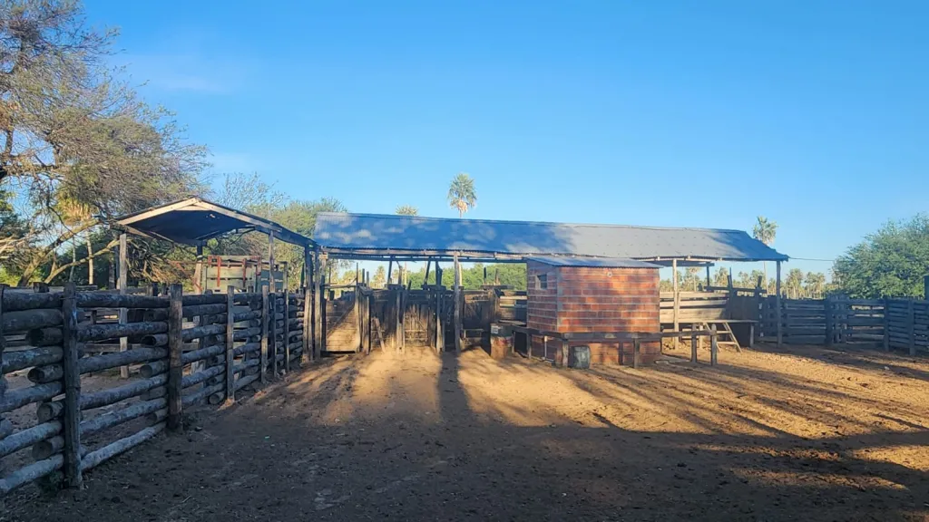 FORTÍN CABALLERO, RUTA Ñ: 1.200 HAS, ALTAMENTE GANADERAS EN FUNCIONAMIENTO + EQUIPAMIENTOS — foto 2