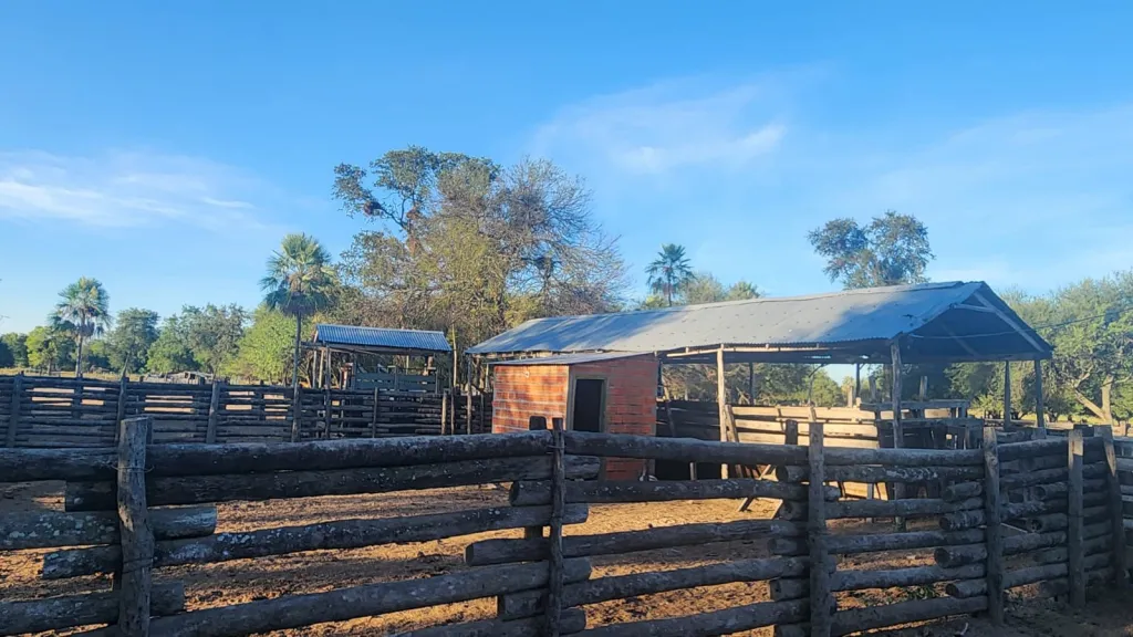 FORTÍN CABALLERO, RUTA Ñ: 1.200 HAS, ALTAMENTE GANADERAS EN FUNCIONAMIENTO + EQUIPAMIENTOS — foto 3