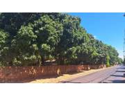 EN VENTA TERRENO EN SAN LORENZO, IDEAL PARA TODO TIPO DE INVERSIÓN
