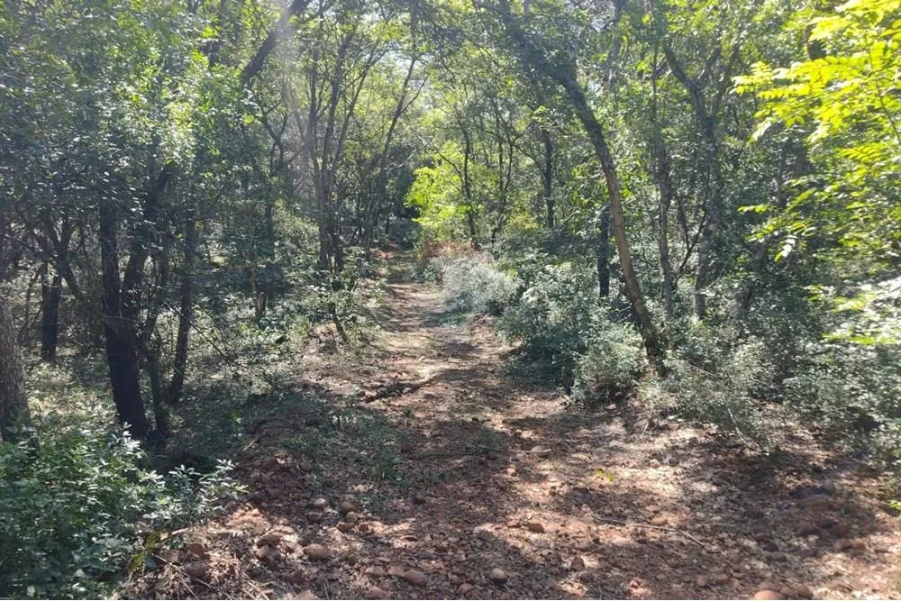 Terreno - Venta - Paraguay Central Aregua — foto 3