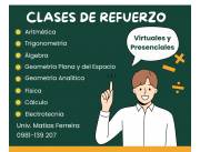 Profesor Particular