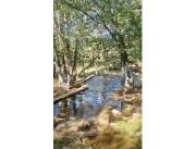 BELLEZA DE CASAQUINTA EN EMBOSCADA-ZONA GUJAIBITY