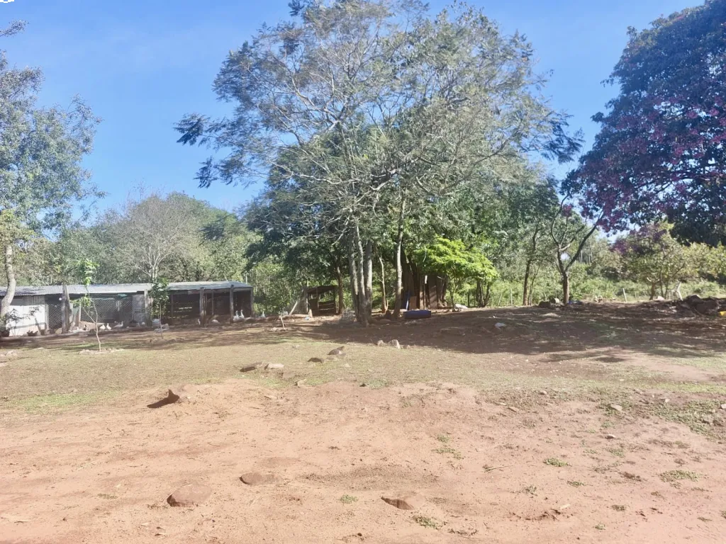 BELLEZA DE CASAQUINTA EN EMBOSCADA-ZONA GUJAIBITY — foto 3