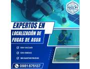 Piscina filtración