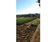 En venta hermosos Lotes en Toledo Cañada Capiata