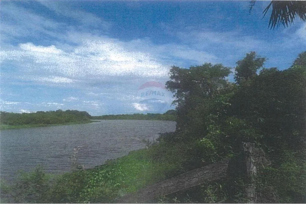 VENDO CAMPO EN ARROYOS Y ESTEROS CORDILLERA 1040 HECTAREAS — foto 3